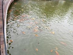 -春晖园度假酒店温泉