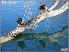 -宗角禄康公园