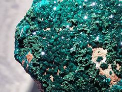 -甘肃地质博物馆