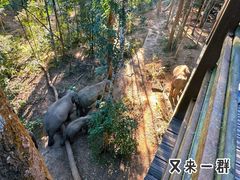 -野象谷景区