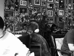 -咖法森林·咖啡  酒吧(天河店)