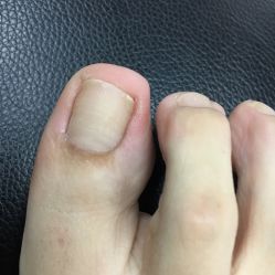 -喵酱日式美甲美睫Neko Nail Studio
