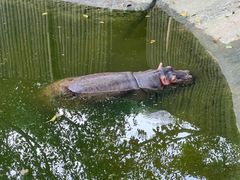 -泉州海丝野生动物世界