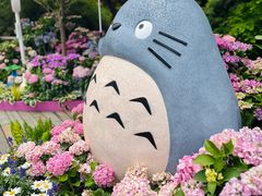 -上海滨江森林公园