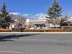 -西藏自治区图书馆