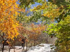 -北京西山国家森林公园