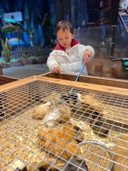 -酷嗒动物文化乐园(cutezoo西溪乐天城店)