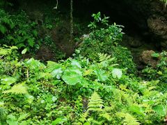 -海口火山口国家地质公园
