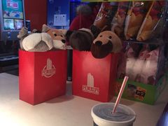 -国文影城(上海闸北店)