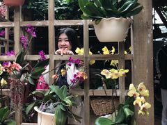 -南山植物园