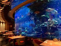 -迪拜帆船酒店海底餐厅