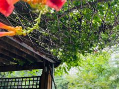 -龙华寺