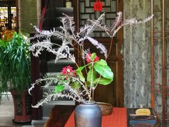 -普洱茶府(博乐广场店)
