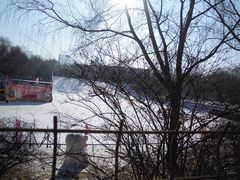 DSCN5249-沈阳南湖公园