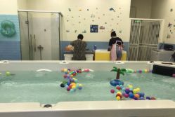 -爱儿乐婴幼儿恒温游泳馆(南山桃源村店)