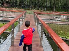 -中关村生命科学园