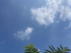 -洧川羊肉豆腐老店