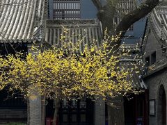 -西安化觉巷清真大寺