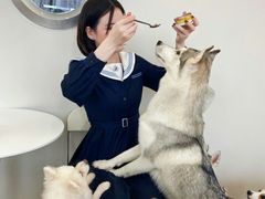 -怪兽屋·羊驼·猫咖·狗咖(俊华广场店)