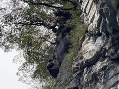 -蝶舞清江·恩施地心谷景区