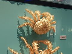 -大连自然博物馆