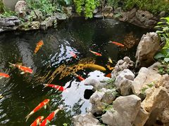 -鲤院·新中式美学·庭院餐厅(夫子庙店)