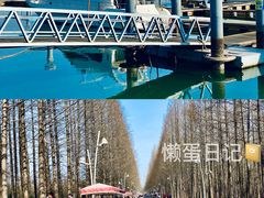 -巧克力渔家.小船海鲜胶东菜(万平口店)