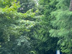 -昆山城市生态森林公园