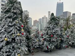 -城市露台景观餐厅(淮海路店)
