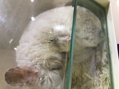 -7mall美食潮地标