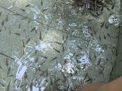 -碧水湾温泉
