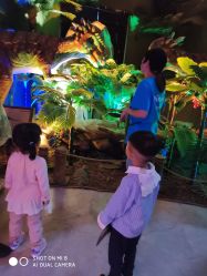 点击看大图 -恐龙探索乐园(磁器口店)