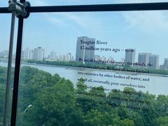 -上海当代艺术博物馆