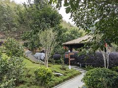 -英德宝晶宫天鹅湖茶语温泉