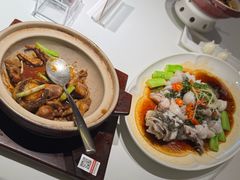 -侨美食家·41年地道粤菜(恒福路店)
