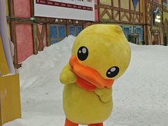 -广州热雪奇迹