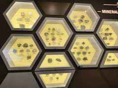 -湖南省地质博物馆