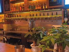 -猫员外精酿啤酒馆(壹海城店)