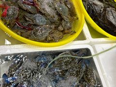 -板桥海鲜广场(文明东店)