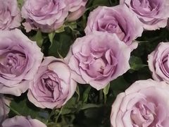 -大玩家(中原万达广场店)