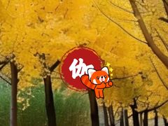 -光启城时尚购物中心