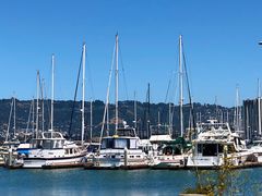 -香港东海海鲜酒家