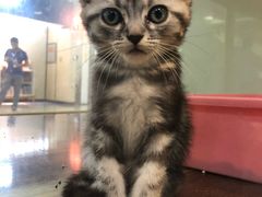 -乐宠宠物店(世纪金源店)