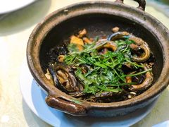 生焗黄鳝-五邑人家(江门店)