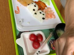 -上海野生动物园老虎餐厅