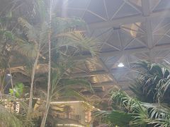 -忆江南·生态餐饮宴会酒店