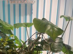 -鱼酷活鱼烤鱼(山西旗舰店)