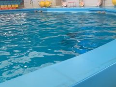 -尼莫海豚馆