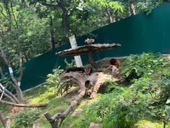 -大连森林动物园