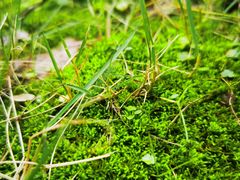 -儒之堂足道·SPA·推拿(莫干山路店)